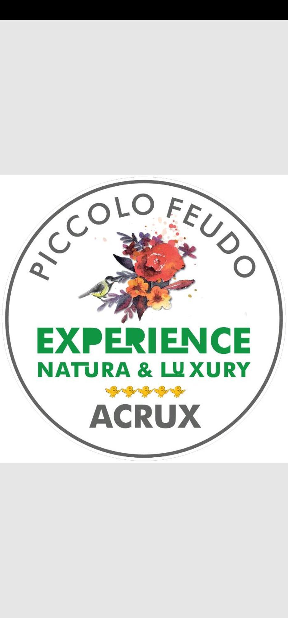 Piccolo Feudo Green Resort (Adults Only) Viterbo Rum bild