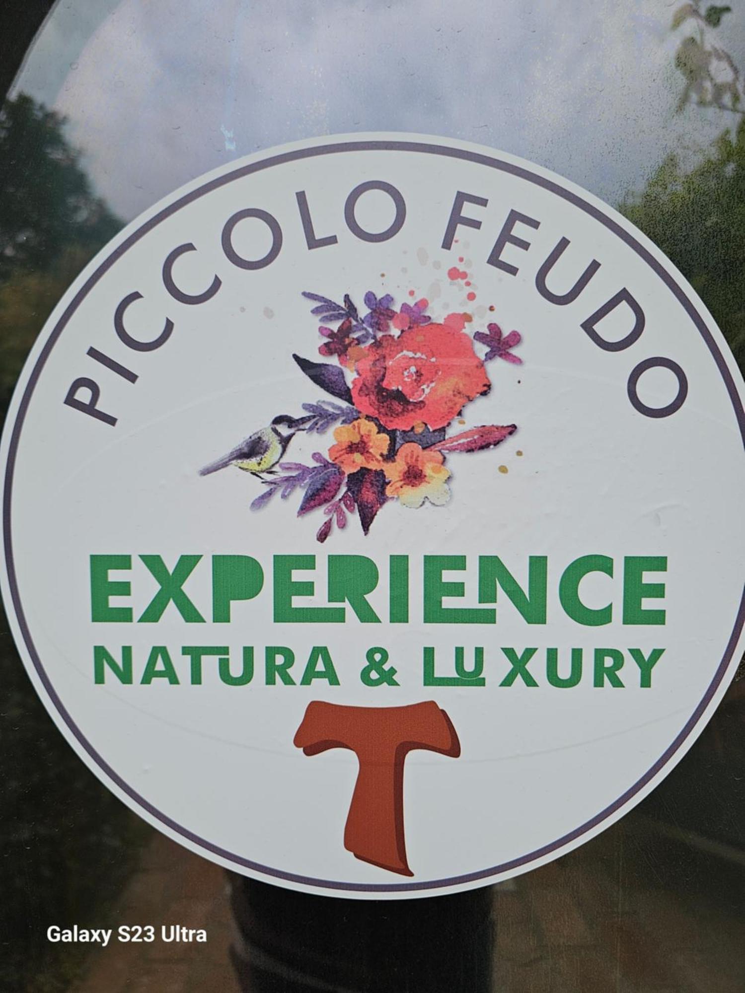 Piccolo Feudo Green Resort (Adults Only) Viterbo Rum bild